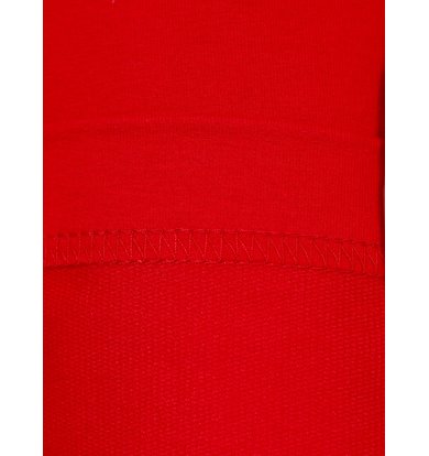 Жен. юбка арт. 17-0339 Красный р. 54